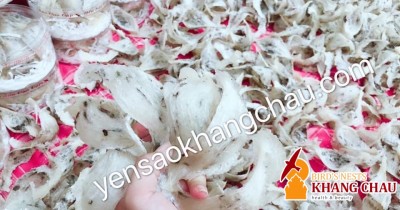 Tổ yến đẹp -Nhà yến Khang Châu