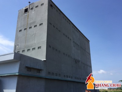 Kiềm Tra nhà yến Long An 480m2 sau 15 ngày sửa chữa