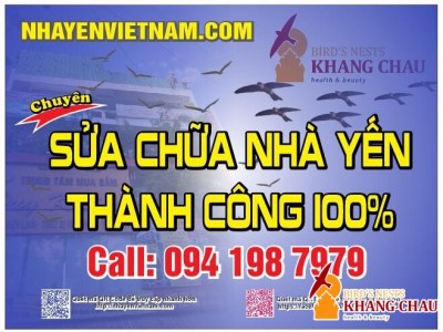 3 phương án sửa nhà yến mới nhất