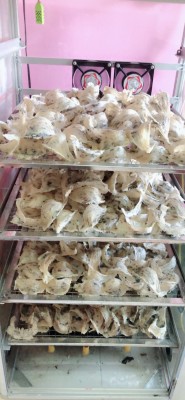 Tổ yến thô Phú Yên ( Sỉ Kg)