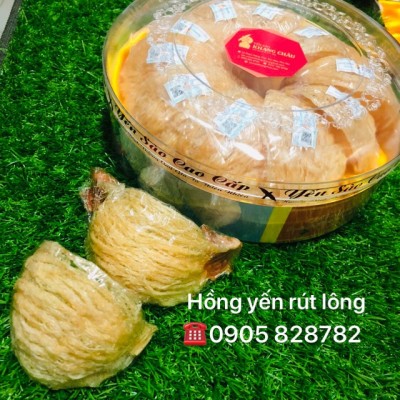 Hồng Yến Rút Lông (4sao)