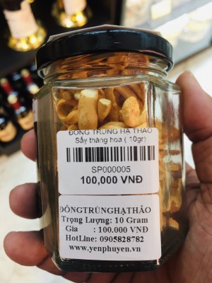 ĐÔNG TRÙNG HẠ THẢO 10g