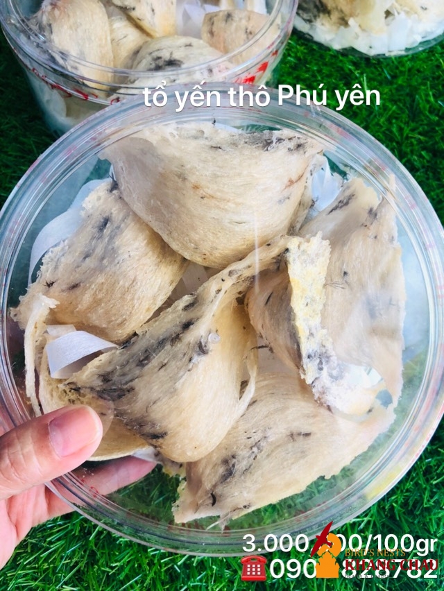 Yến Sào