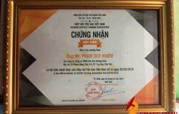Giấy chứng nhận
