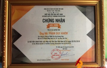 Giấy chứng nhận